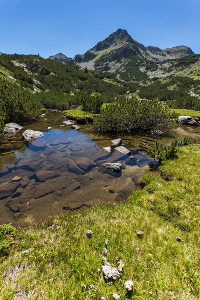Increíble paisaje con el río Valyavitsa y el pico Valyavishki chukar, montaña Pirin —  Fotos de Stock
