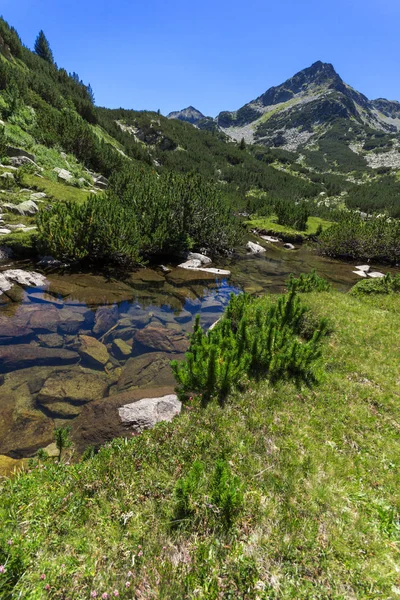 Bentang alam yang menakjubkan dengan sungai Valyavitsa dan puncak Valyavishki chukar, Pirin Mountain — Stok Foto