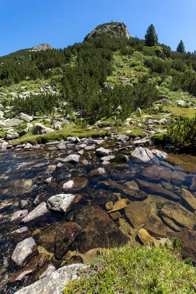 Paesaggio incredibile con il fiume Valyavitsa, Pirin Mountain — Foto Stock