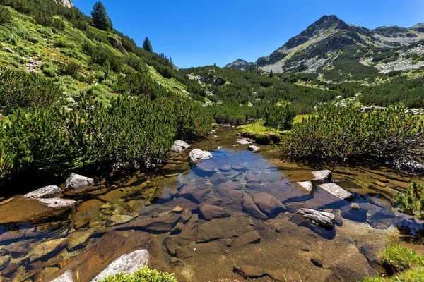 Fantastiska landskap med Valyavitsa floden och Valyavishki berghöna topp, Pirin berget — Stockfoto
