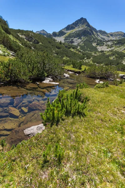 Niesamowity krajobraz z rzeką Valyavitsa i Valyavishki chukar szczyt, góry Pirin — Zdjęcie stockowe