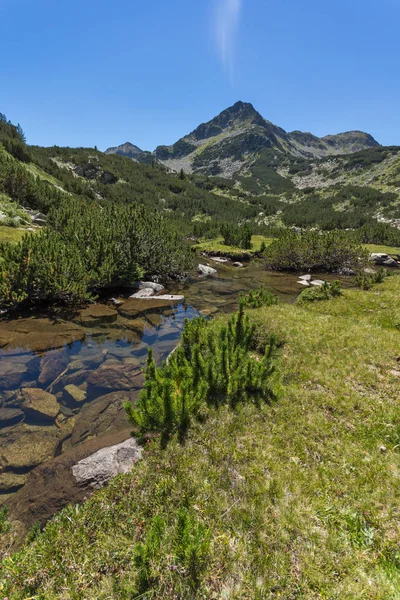 Bentang alam yang menakjubkan dengan sungai Valyavitsa dan puncak Valyavishki chukar, Pirin Mountain — Stok Foto