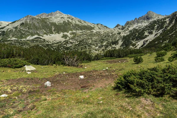 Csodálatos táj, a Polezhan és a Dzhangal csúcs, a Pirin-hegység — Stock Fotó