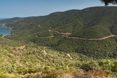 Panoramik Mamba Beach adlı Sithonia Yarımadası, Chalkidiki, orta Makedonya
