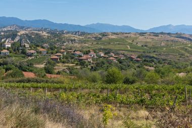 Melnik town, Bulgaristan yakınındaki Lozenitsa Köyü ve asma bahçeleri panoramik manzaralı
