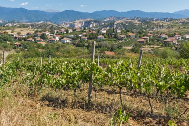 Melnik town, Bulgaristan yakınındaki Lozenitsa Köyü ve asma bahçeleri panoramik manzaralı