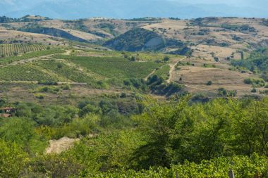 Melnik town, Bulgaristan yakınındaki Lozenitsa Köyü ve asma bahçeleri panoramik manzaralı