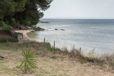 Chalkidiki, Orta Makedonya, Yunanistan - 25 Ağustos 2014: Deniz manzarası Mikri Elia beach Sithonia Yarımadası, Chalkidiki adlı