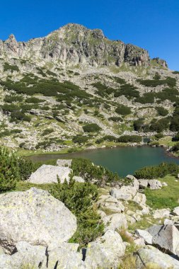 Dzhangal tepe ve Samodivski gölleri, Pirin Dağı ile manzara