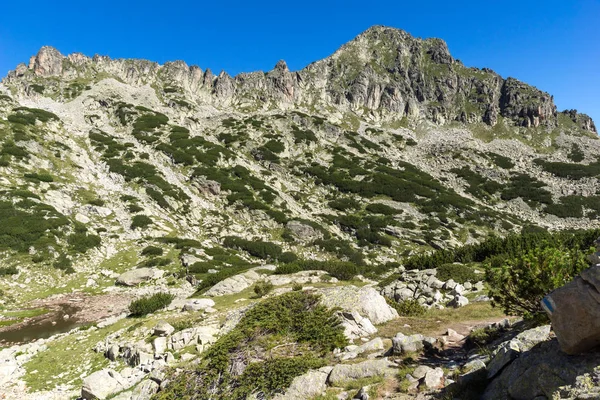 Paisaje con paso izquierdo Kralev Dvor, Montaña Pirin —  Fotos de Stock