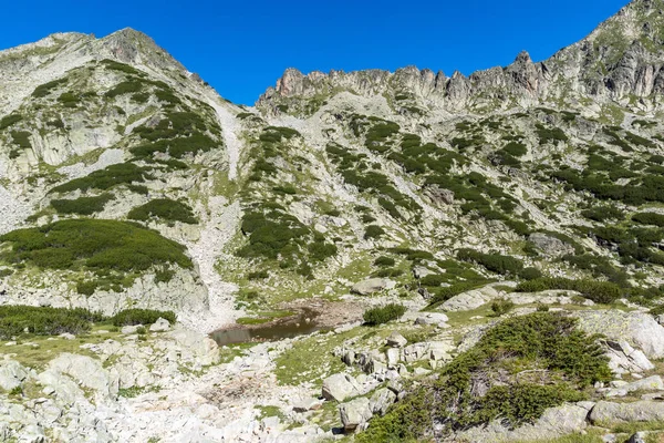 Краєвид з лівого Kralev двір сталось, гори Пірін — стокове фото