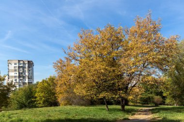 Sofya şehir South Park'taki sarı ağaçları ile sonbahar manzara şaşırtıcı