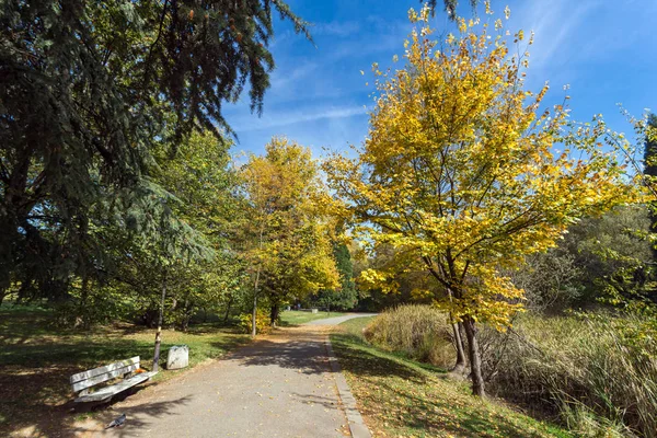 Erstaunliche Herbstlandschaft mit gelben Bäumen im Südpark in der Stadt Sofia — Stockfoto