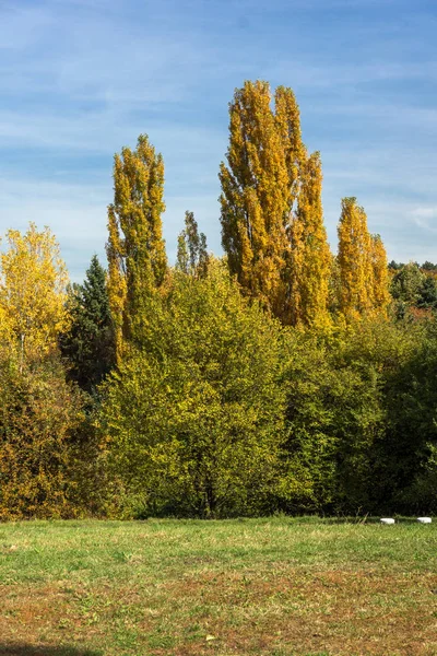 Úžasný podzimní krajina s žluté stromy v South parku ve městě Sofie — Stock fotografie