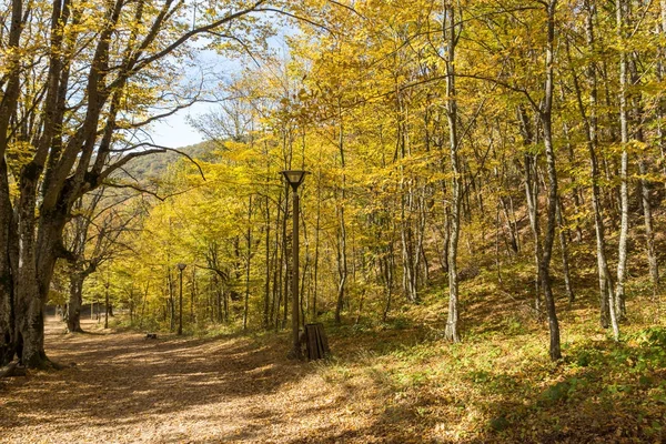 Paisaje de otoño con amarillo cerca de la ciudad del diablo en la montaña Radan — Foto de Stock