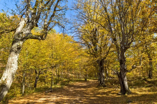 Paisaje de otoño con amarillo cerca de la ciudad del diablo en la montaña Radan — Foto de Stock
