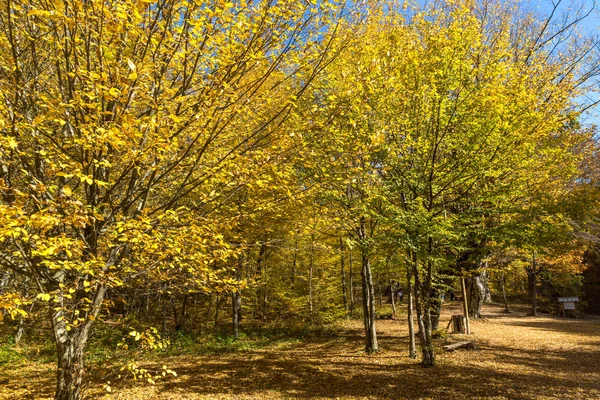 Paisaje de otoño con amarillo cerca de la ciudad del diablo en la montaña Radan — Foto de Stock