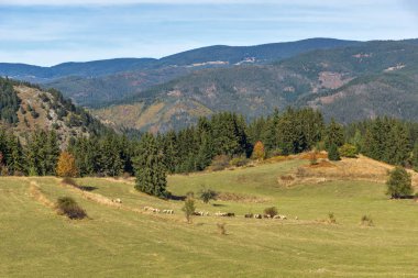 Paşmaklı bölge Gela köyü yakınlarında şaşırtıcı sonbahar panorama