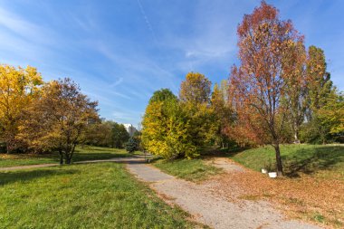 Sofya şehir South Park'taki sarı ağaçları ile sonbahar manzara