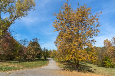 Sofya şehir South Park'taki sarı ağaçları ile sonbahar manzara