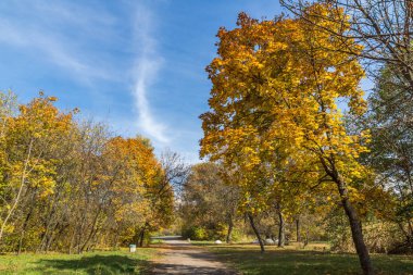 Sofya şehir South Park'taki sarı ağaçları ile sonbahar manzara