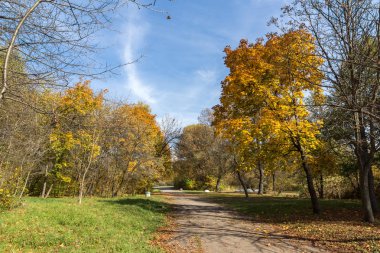 Sofya şehir South Park'taki sarı ağaçları ile sonbahar manzara
