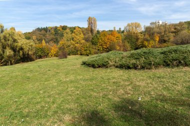 Sofya şehir South Park'taki sarı ağaçları ile sonbahar manzara