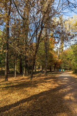 Sofya şehir South Park'taki sarı ağaçları ile sonbahar manzara