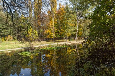 Sofya şehir South Park'taki sarı ağaçları ile sonbahar manzara