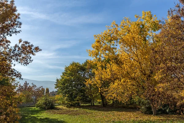 Herbstlandschaft mit gelben Bäumen im Südpark in der Stadt Sofia — Stockfoto