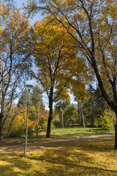 Paysage d'automne avec arbres jaunes dans South Park dans la ville de Sofia — Photo