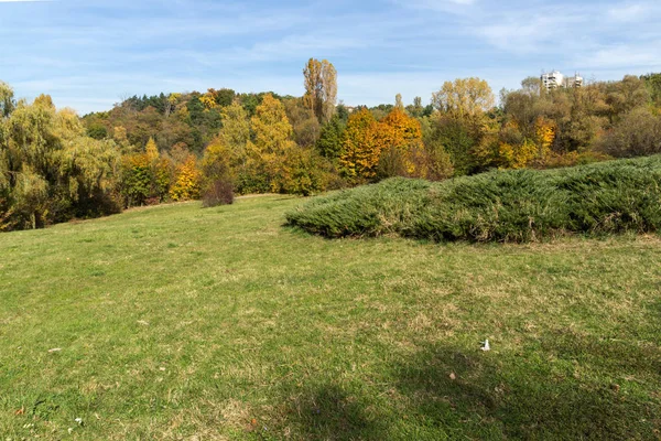 Podzimní krajina s žluté stromy v South parku ve městě Sofie — Stock fotografie