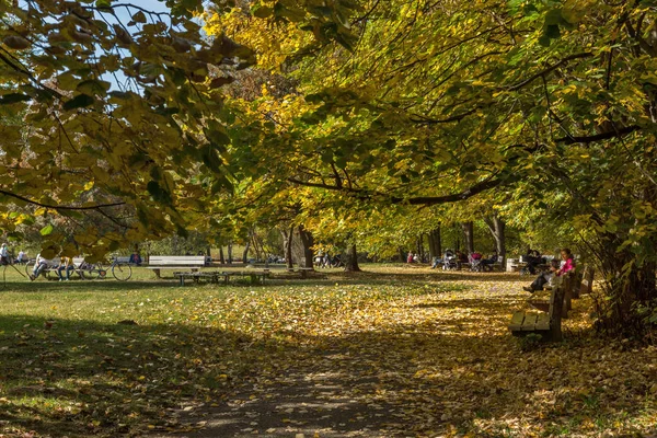 Herfst landschap met gele bomen in South Park in de stad van Sofia — Stockfoto