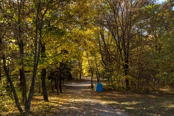 Paysage d'automne avec arbres jaunes dans South Park dans la ville de Sofia — Photo