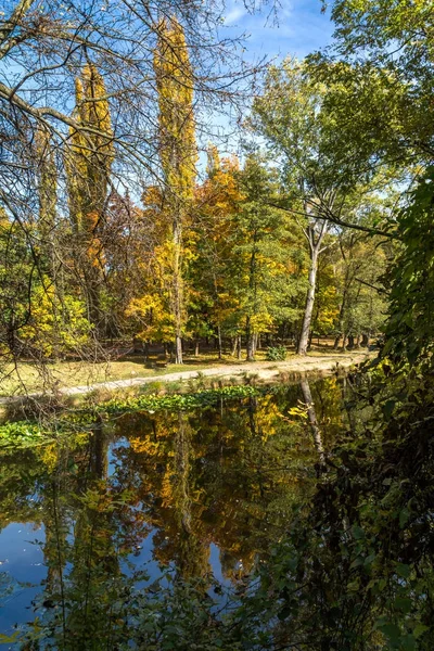 Осенний пейзаж с жёлтыми деревьями в Южном парке в городе София — стоковое фото