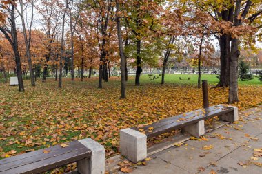 Sofya, Bulgaristan-12 Kasım 2017: Sofya 'da Ulusal Kültür Sarayı önünde park,