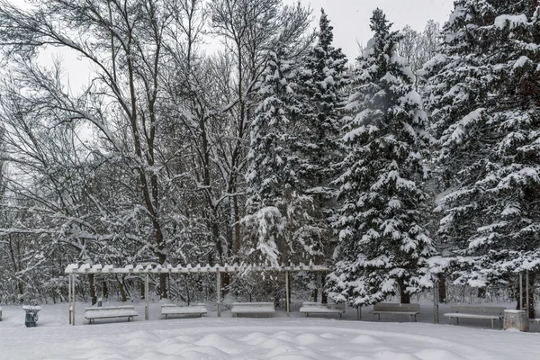 Paisaje Invierno Con Árboles Cubiertos Nieve South Park Ciudad Sofía —  Fotos de Stock