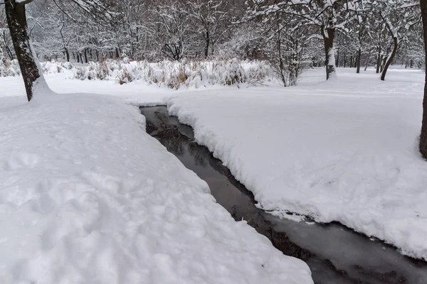 Winterlandschap Met Sneeuw Bedekt Bomen South Park Stad Van Sofia — Stockfoto