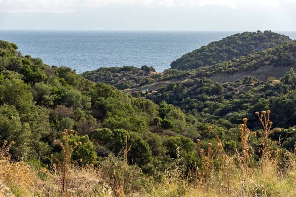 Blick Auf Den Goa Strand Auf Der Halbinsel Sithonia Chalkidiki — Stockfoto