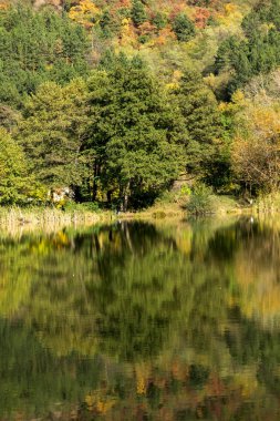 Sonbahar Pancharevo Gölü, Sofya şehir bölge, Bulgaristan