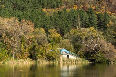 Sonbahar Pancharevo Gölü, Sofya şehir bölge, Bulgaristan