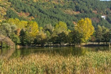 Sonbahar Pancharevo Gölü, Sofya şehir bölge, Bulgaristan