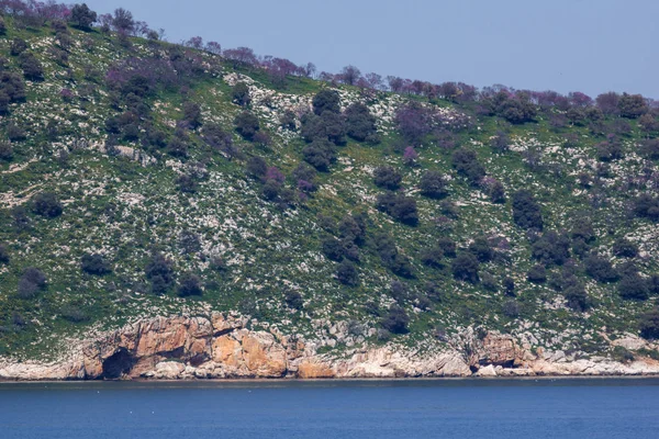 Thasopoula Insel Griechenland April 2016 Panorama Der Thasopoula Insel Ostmakedonien — Stockfoto