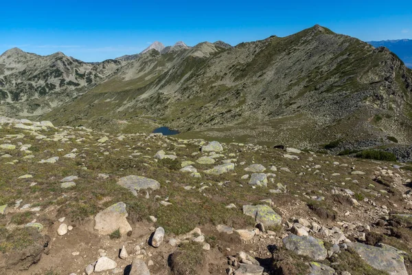 ブルガリアのピリン山の緑の丘の素晴らしい夏の風景 — ストック写真