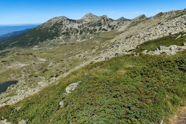 Καταπληκτικό Καλοκαιρινό Τοπίο Από Πράσινους Λόφους Του Βουνού Πίριν Βουλγαρία — Φωτογραφία Αρχείου