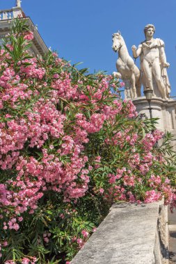 Rome, İtalya - 23 Haziran 2017: Heykel ve Capitoline müzeleri yılında Roma, İtalya, şehrin önünde çiçek