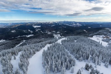 Pamporovo resort, bölge Smolyan, Bulgaristan yakınındaki Rodop Dağları'nın muhteşem kış manzarası