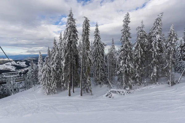 Increíble Paisaje Invernal Las Montañas Rhodope Cerca Del Complejo Pamporovo — Foto de Stock