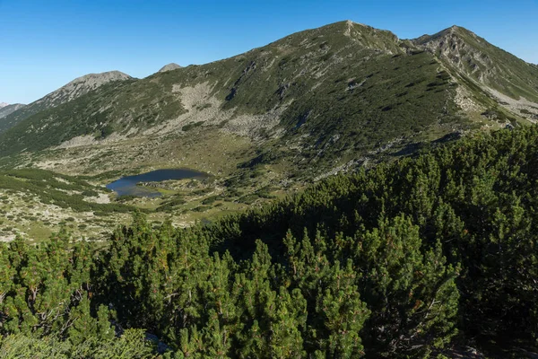 Paesaggio Incredibile Con Laghi Chairski Pirin Mountain Bulgaria — Foto Stock