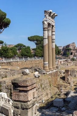 Rome, İtalya - 23 Haziran 2017: Ruins of Roma forumda şehir Roma, İtalya